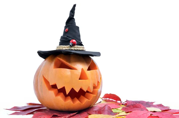 Szef Jack Latarnia Rzeźbione Dyni Halloween — Zdjęcie stockowe