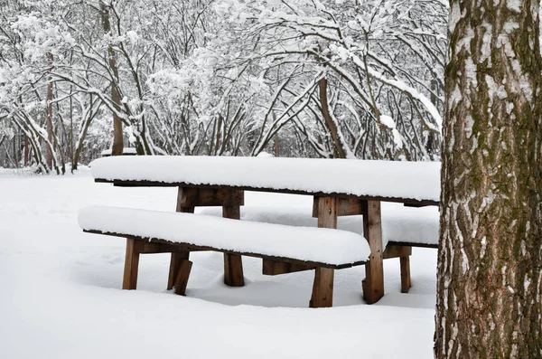 Wooden Table Abandoned Park Winter Evening — Stock Photo, Image