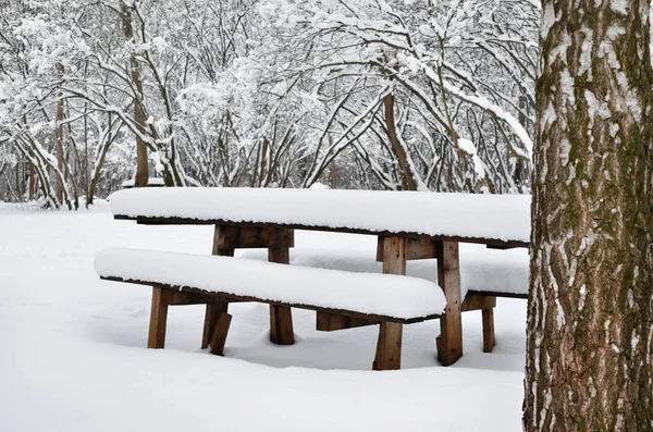 Ett Träbord Övergivna Park Vinterkväll — Stockfoto