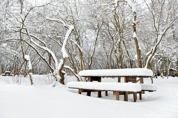 Een Houten Tafel Verlaten Park Een Winteravond — Stockfoto