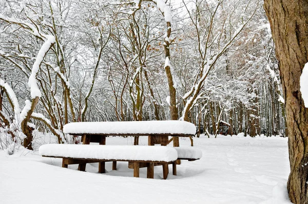 Sebuah Meja Kayu Taman Ditinggalkan Pada Malam Musim Dingin — Stok Foto