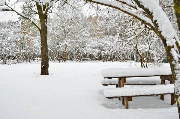 Drewniany Stół Opuszczonym Parku Zimowy Wieczór — Zdjęcie stockowe