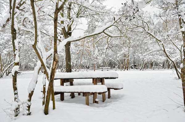 Een Houten Tafel Verlaten Park Een Winteravond — Stockfoto