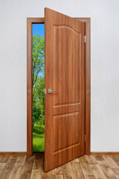 Wooden door, doorway, entrance and exit from the room.