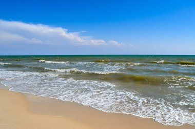 Dalgalar deniz kabukları yapılan temiz plaj yıkadım. Vahşi bir kumsalda manzara. Yaz aylarında deniz.