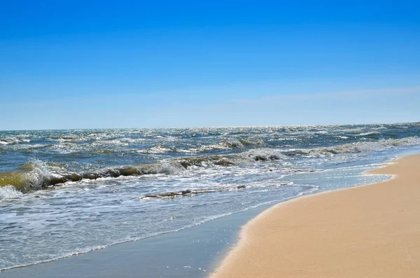 海浪冲刷清洁海滩贝壳做成 野生的海滩上的景观 在夏天海 — 图库照片