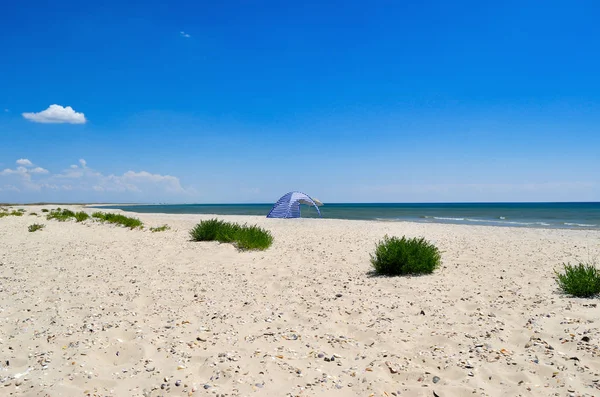 Sauberer Sandstrand Vor Dem Blauen Meer Landschaft Einem Wilden Strand — Stockfoto