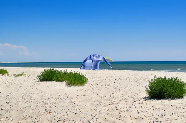 Czystej Piaszczystej Plaży Przed Błękitne Morze Krajobraz Dzikiej Plaży Morze — Zdjęcie stockowe