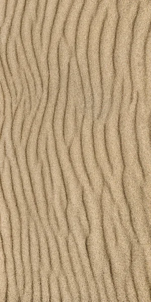 Sand Ripple Texture Sandy Background Sand Close — Stock Photo, Image