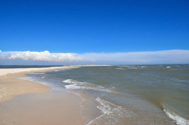 Deniz dalgaları temiz kumlu plajı yıkayın. Vahşi bir plajda peyzaj. Yaz aylarında deniz.