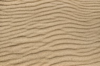 Kum dalgalanma dokusu. Sandy 'nin geçmişi. Kum yakın çekim.