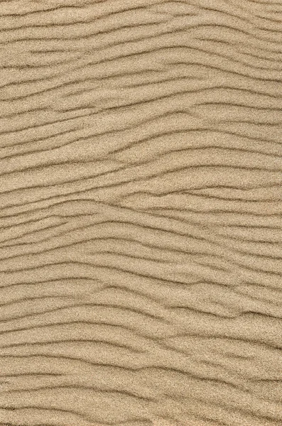 Sand Ripple Texture Sandy Background Sand Close — Stock Photo, Image