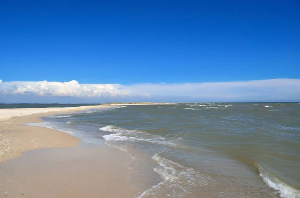 海の波はきれいな砂浜を洗う 野生のビーチの風景 夏の海 — ストック写真