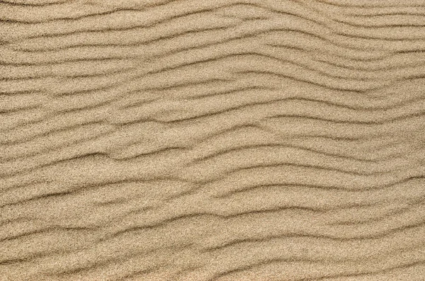 Sand Ripple Texture Sandy Background Sand Close — Stock Photo, Image