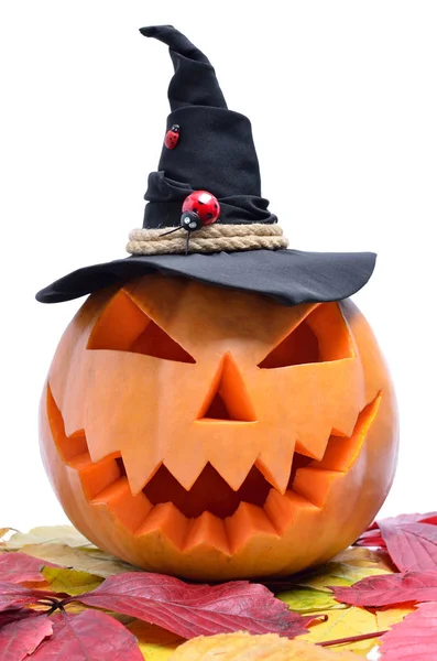Tökfej Halloween Elszigetelt Fehér Háttérrel Jack Lantern Fej Faragott Tök — Stock Fotó