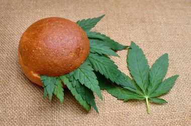 Genç kenevir yapraklarından yapılmış sandviç..