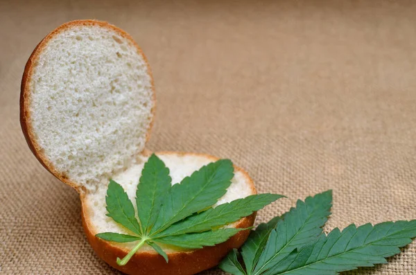 Sandwich Aus Jungen Blättern Von Cannabis — Stockfoto