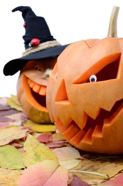 Cadılar Bayramı için balkabağı beyaz arka planda izole. Cadılar Bayramı için balkabağından oyulmuş Jack Lantern kafası..