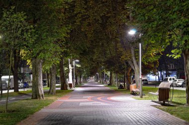 Gece şehrinin sokakları, parkları ve meydanları. Gece şehir ışıkları.