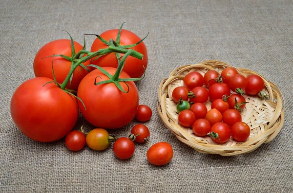 Tomates Maduros Frescos Vermelhos Uma Serapilheira Grosseira — Fotografia de Stock