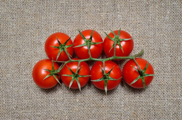 Ripe Fresh Red Tomatoes Coarse Burlap — Stock Photo, Image