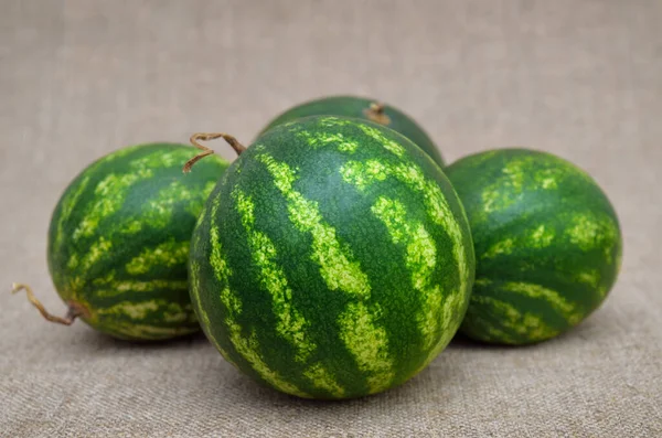 Beeren Reife Wassermelonen Auf Einem Groben Klecks — Stockfoto