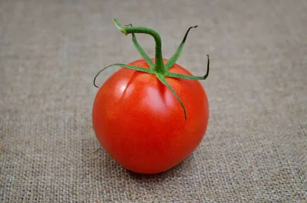 Tomates Rojos Frescos Maduros Sobre Una Arpillera Gruesa Fotos De Stock Sin Royalties Gratis