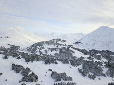 Alaska doğal kış manzaraları 
