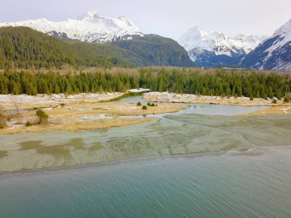 Uitzicht Oceaan Van Wetlands Bergen Alaska — Stockfoto