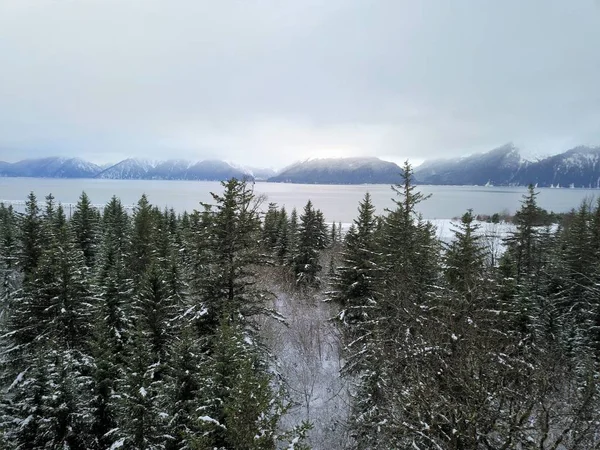 从阿拉斯加的风景冬季景色 — 图库照片