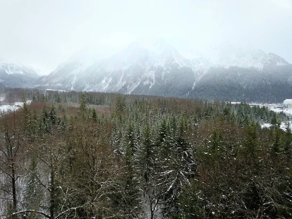 Vues Panoramiques Hiver Depuis Alaska — Photo