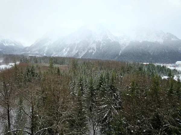 Vistas Panorámicas Invierno Desde Alaska —  Fotos de Stock