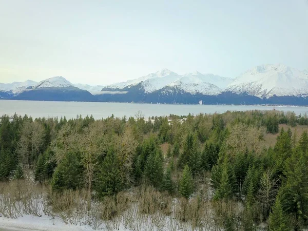 Vista Panoramica Invernale Dall Alaska — Foto Stock
