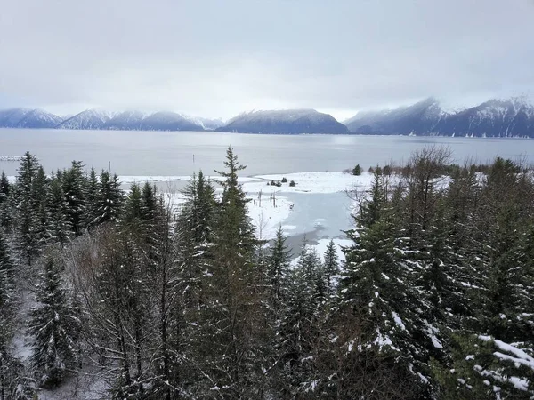 从阿拉斯加的风景冬季景色 — 图库照片