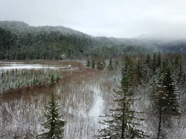 Живописные Зимние Виды Аляски — стоковое фото