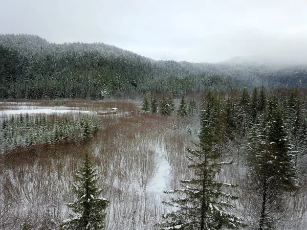 Vistas Panorámicas Invierno Desde Alaska —  Fotos de Stock