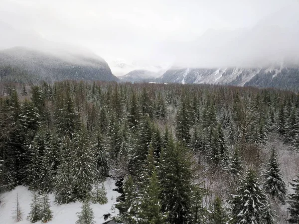 Vistas Panorámicas Invierno Desde Alaska —  Fotos de Stock