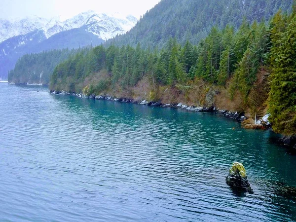 Alaska kıyı görünümü kış gününde