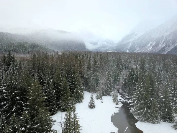 Дикая Природа Аляски Зимой — стоковое фото