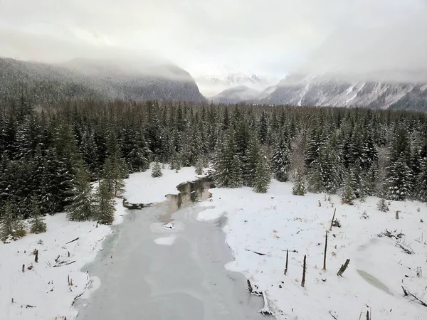 Пустеля Аляски Зимовий Час — стокове фото