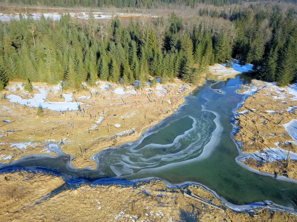 Tundra Alaska wilderness kenarında 