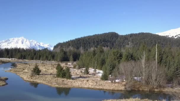 Wunderschöne Landschaft Von Seward Alaska — Stockvideo