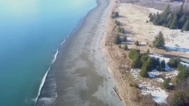 Prachtige Omgeving Van Seward Alaska — Stockvideo
