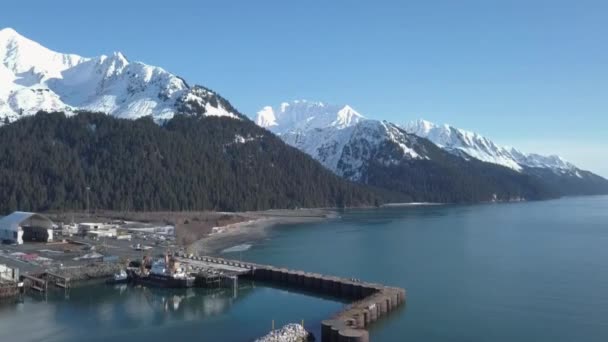 Bela Paisagem Seward Alaska — Vídeo de Stock
