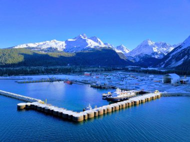 Küçük kabuklar ve düşük gelgit Alaska'da bir plajda bulunan deniz hayat 