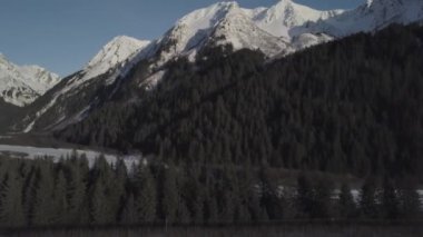 Alaskan vahşi dan kış manzarası