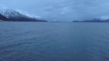 Alaskan vahşi dan kış manzarası
