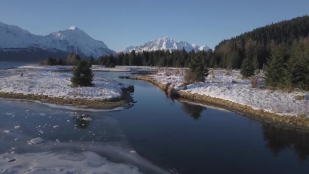 Zimní Scenérie Aljašské Divočině — Stock video