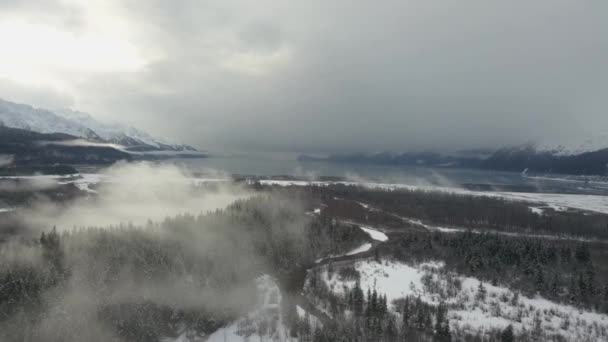 野生のアラスカの荒野からの冬景色 — ストック動画