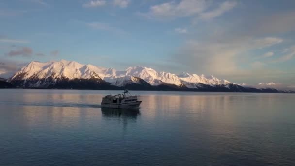 Коммерческие Палтусные Рыболовные Суда Водах Залива Воскресения Сьюард Аляске — стоковое видео